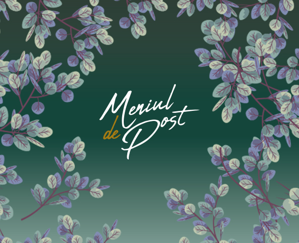 Pizza cu vinete, dovlecel și spanac